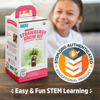Back to The Roots Organic Strawberry Grow Kit — Grows Year Round, Includes Everything Needed for Planting