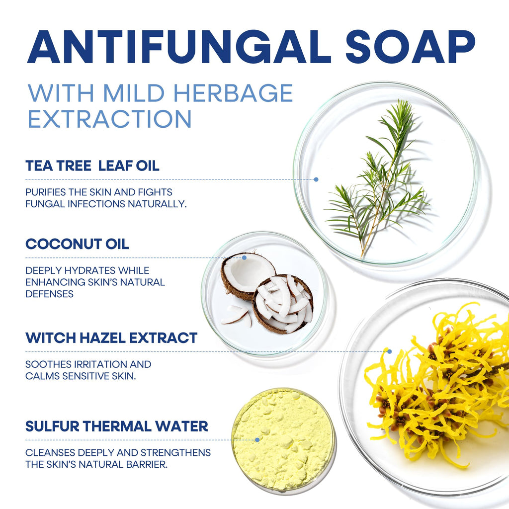 Hermon Antifungal Soap with Tea Tree Oil: Antifungal Bar Soothing Care & Relief of Itchy for Ringworm Jock Itch Tinea Versicolor Athletes Foot - Body & Face Wash