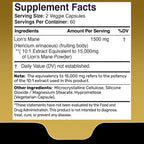 Lions Mane Supplement Capsules - 120 Count - Mushroom Supplement, Brain Supplements for Memory and Focus, Lion's Mane Mushroom Capsules - Cognitive & Immune Support, Focus Supplement - 2 Pack