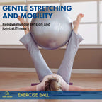 ProBody Pilates Exercise Ball - Multiple Sizes Gym Grade Balance Ball for Fitness, Workout, Pregnancy & Physical Therapy, Stability Yoga Ball Chair (Blue, 55cm)