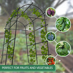 Metal Garden Arch Trellis, 7.6Ft Black for Raised Beds, Plant Support for Cucumbers & Climbing Vegetables with 9 Horizontal Pipe