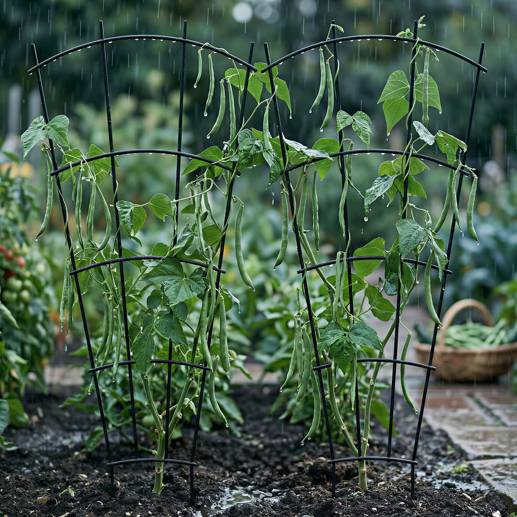 Thealyn 43" Tall Metal Plant Trellis Climbing Plant Support, 4 Pack Black