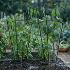 Thealyn 43" Tall Metal Plant Trellis Climbing Plant Support, 4 Pack Black