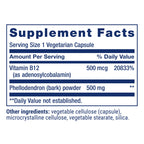 Life Extension Dopamine Advantage, Cognitive Health, Mental Sharpness, Motivation, Vitamin B12, phellodendron bark Powder, Gluten Free, Non-GMO, Vegetarian, 30 Capsules,(Pack of 2)