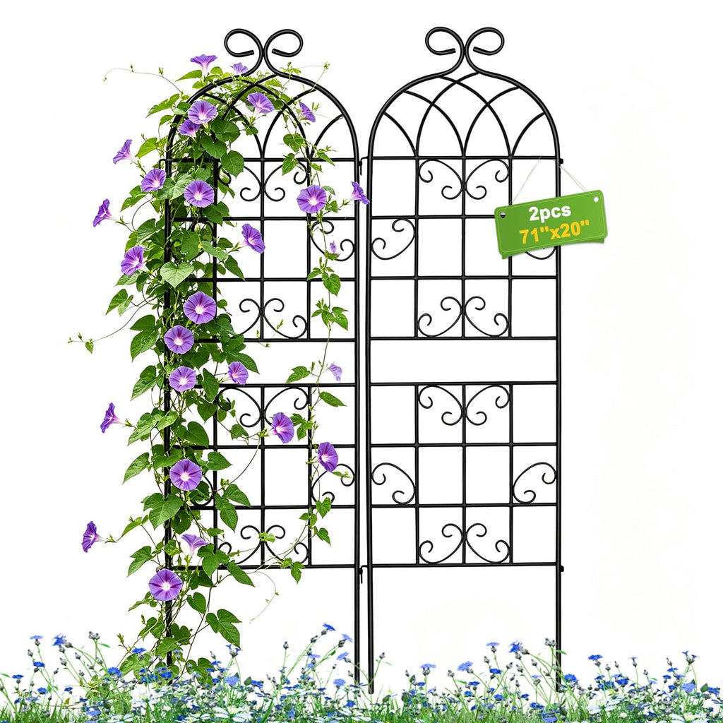 Lorenzo 2 Pcs 70 x 20 Inch Rustic Iron Garden Trellis for Climbing Plants Outdoor, Black Metal Arch Decoration Plant Supporting Perfect for Roses Flower Cucumbers Courtyards Lawns Clematis