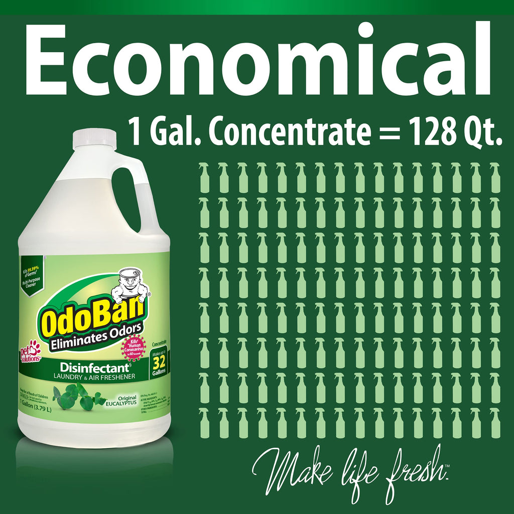 OdoBan Disinfectant Concentrate and Odor Eliminator, Made in the USA, Original Eucalyptus Scent, 2 Gallons
