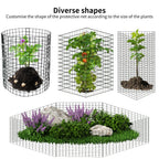 Wedmetal 30 Pcs Plant Protectors from Animals,Protect Plants from Deer 10 Sets Metal Plant Cages Animal Intrusion Barrier Wire Mesh Easy to Assemble/Store Vegetable Garden Protection 12 * 12“