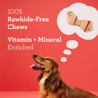 DreamBone Mini Bone Rawhide-Free Dog Treats With Real Protein, 50 Count