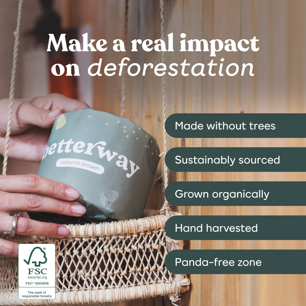Betterway Unbleached Bamboo Toilet Paper Rolls - Eco-Friendly 3 Ply Toilet Tissue - 12 Long-Lasting Rolls - 360 Sheets/Roll - Organic, FSC Certified, Septic Safe TP - Lint-Free, PFAS-Free Bath Tissue