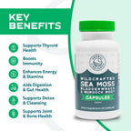 Herbal Vineyards Organic Wildcrafted Vegetable 60 Capsules | 1500MG | Pack of 2 | Irish Sea Moss, Bladderwrack and Burdock Root, Immune Support, Healthy Skin & Energy | Powerful Immunity Booster