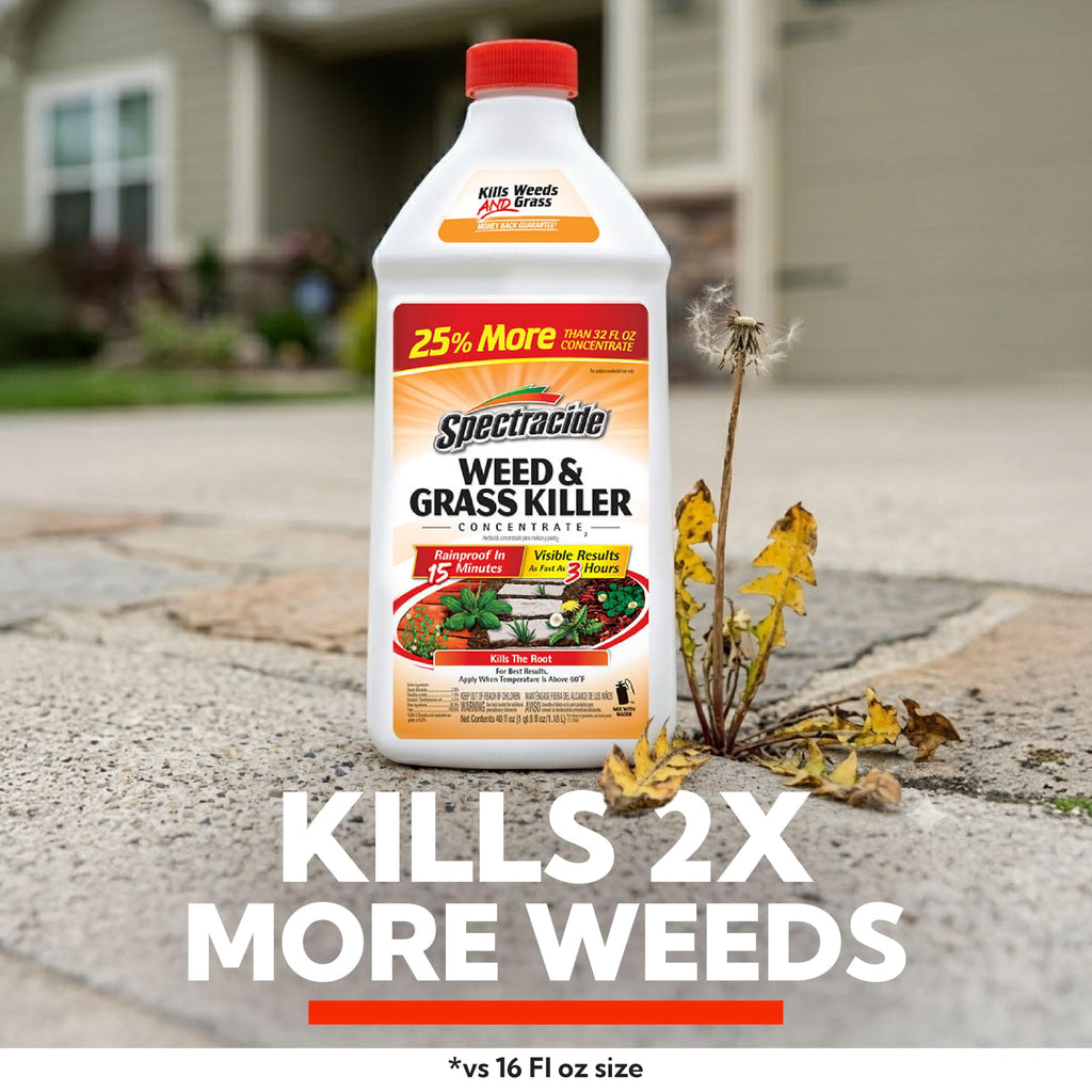 Spectracide Weed & Grass Killer Concentrate for Driveways & Walkways, 40 Oz
