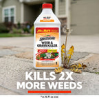 Spectracide Weed & Grass Killer Concentrate for Driveways & Walkways, 40 Oz