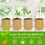 Indoor Herb Garden Kit, Culinary Herb Starter Kit with Seeds & Tools for Beginners, Kitchen Decor, House Warming Gifts for New Home, for Christmas, Ultimate Birthday Gifts for Women Men Mom Dad