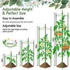 Riare 6 Pack 5.2 FT Tomato Cages for Garden, Heavy Duty Tomato Trellis