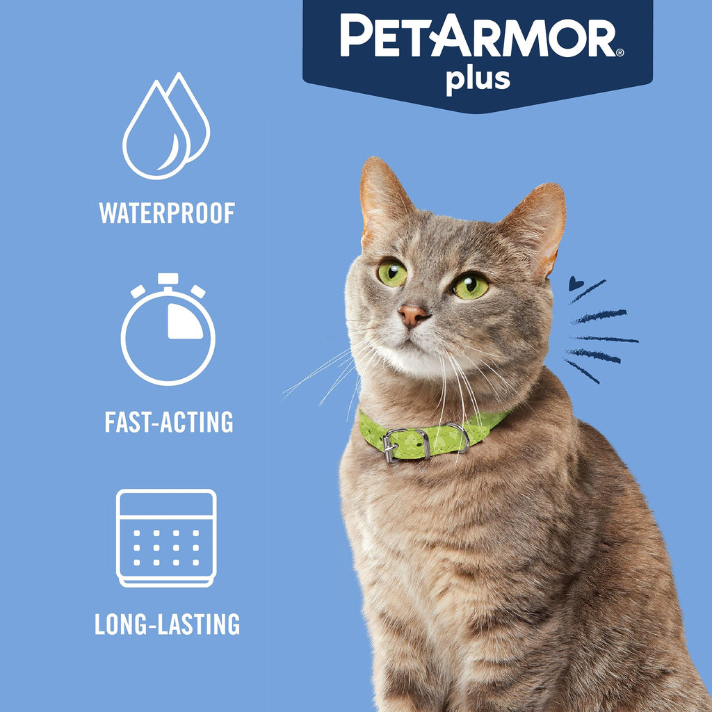 PetArmor Plus Flea & Tick Topical Cats 1.5 lbs+, 3-Month