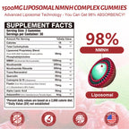 2Pack 1500MG Liposomal NMN Supplement NMNH Gummies-NAD Supplement to Boost NAD+, Nicotinamide Riboside ＆ Quercetin,Improve Energy Levels ＆ Enhance Endurance, Blend for Cellular Energy & Repair Support