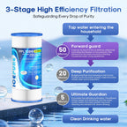 ICEPURE 50 Micron 10" x 4.5" Whole House Extra Coarse Pleated Sediment Filter for Well Water, Replacement Cartridge for GE FXHSC, Culligan R50-BBSA, DuPont WFHDC3001, W50PEHD, R50-BB, 3Pack