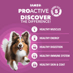 IAMS Proactive Health Mature Large Breed Dry Dog Food, Chicken, 30 lb