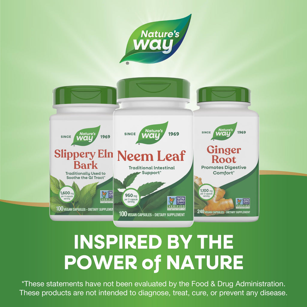 Nature's Way Neem Leaf Capsules,Traditional Intestinal Support*,Used in Ayurveda,950 mg per 2-Capsule Serving,Non-GMO Project Verified,Vegan,(Packaging May Vary),100 Count (Pack of 2)
