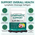 FANSHI Lymphatic Drainage Supplements 240 Softgels | Herbal Blend with Echinacea, Dandelion & Burdock Root | Promotes Healthy Circulation & Fluid Balance | Supports Overall Daily Wellness