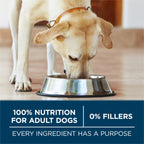 Purina ONE Plus Adult Large Breed Dry Dog Food, Chicken, 40 lb Bag