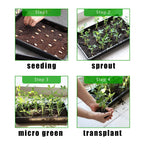 RooTrimmer 10 Pack 1020 Trays, Extra Thick Heavy Duty Seed Starting Trays - No Holes, No Leak, Reusable Propagation Flats for Microgreens, Seedlings, Plant Germination, Fodder and Transplant