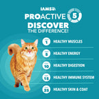 IAMS Proactive Health Indoor Dry Cat Food, Chicken & Turkey, 7 lb