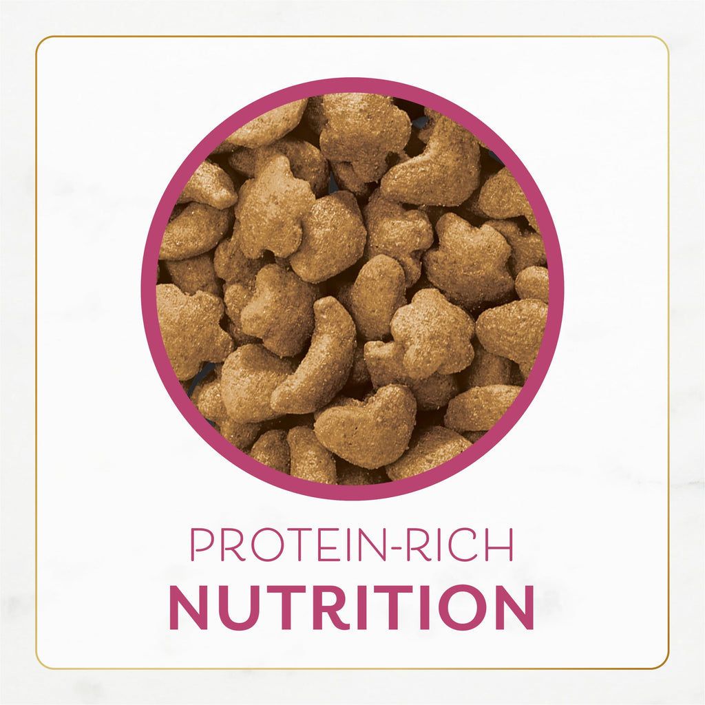Fancy Feast Purina Dry Cat Food 7 lb Bag