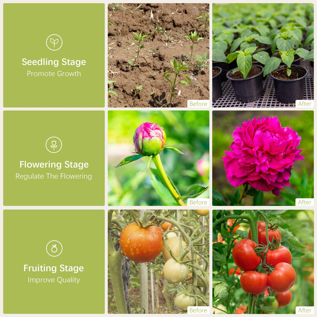 Danshinro Outdoor LED Grow Light, Waterproof String Plant Growing Light, 21 FT Full Spectrum Growth Light, Suitable for Garden, Farm, Flower, Seedling Greenhouse Grow Light (6 Light)