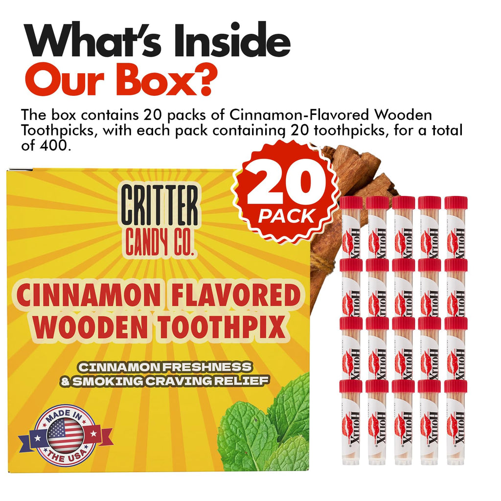 Hotlix Cinnamon Toothpicks (20 Pack 400 total), Flavored Toothpicks, Travel Toothpicks, Toothpicks for Food, Wooden Toothpicks, Fancy Toothpicks for Appetizers, Best Quit Smoking Products, Made in USA