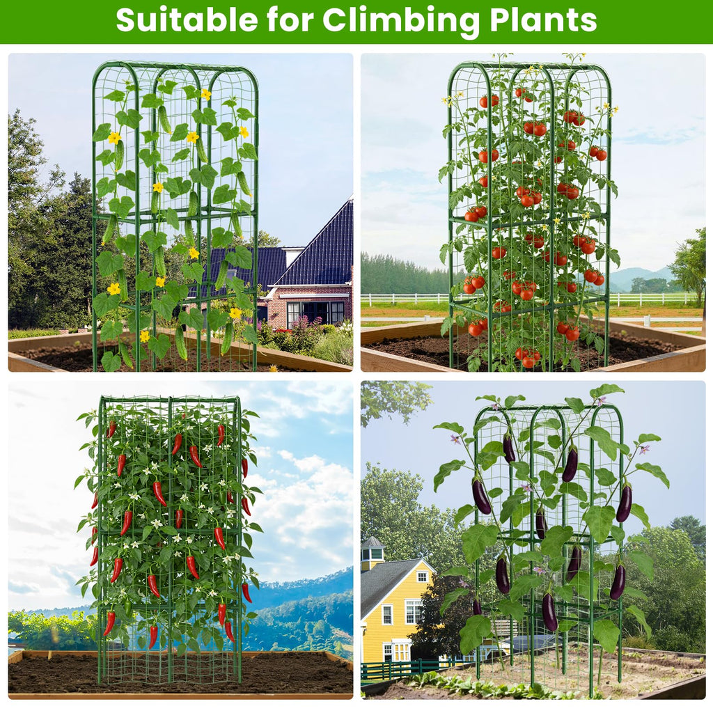 62in Tall Cucumber Trellis for Raised Bed, 34" L x 62" H Metal Garden Trellis for Climbing Plants Outdoor, U-Shape Vegetables Trellis Support for Squash Zucchini Peas Grape