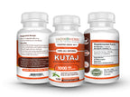 Vadik Herbs Kutaj (Holarrhena Antidysenterica, Kutaja) 100 Vegicaps Safety Tested & Wildcrafted Ships from California Premium Quality Herbal Supplement for Digestive Support