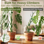Heavy-Duty Monstera Plant Support Stakes - 10-Piece Stackable Sticks