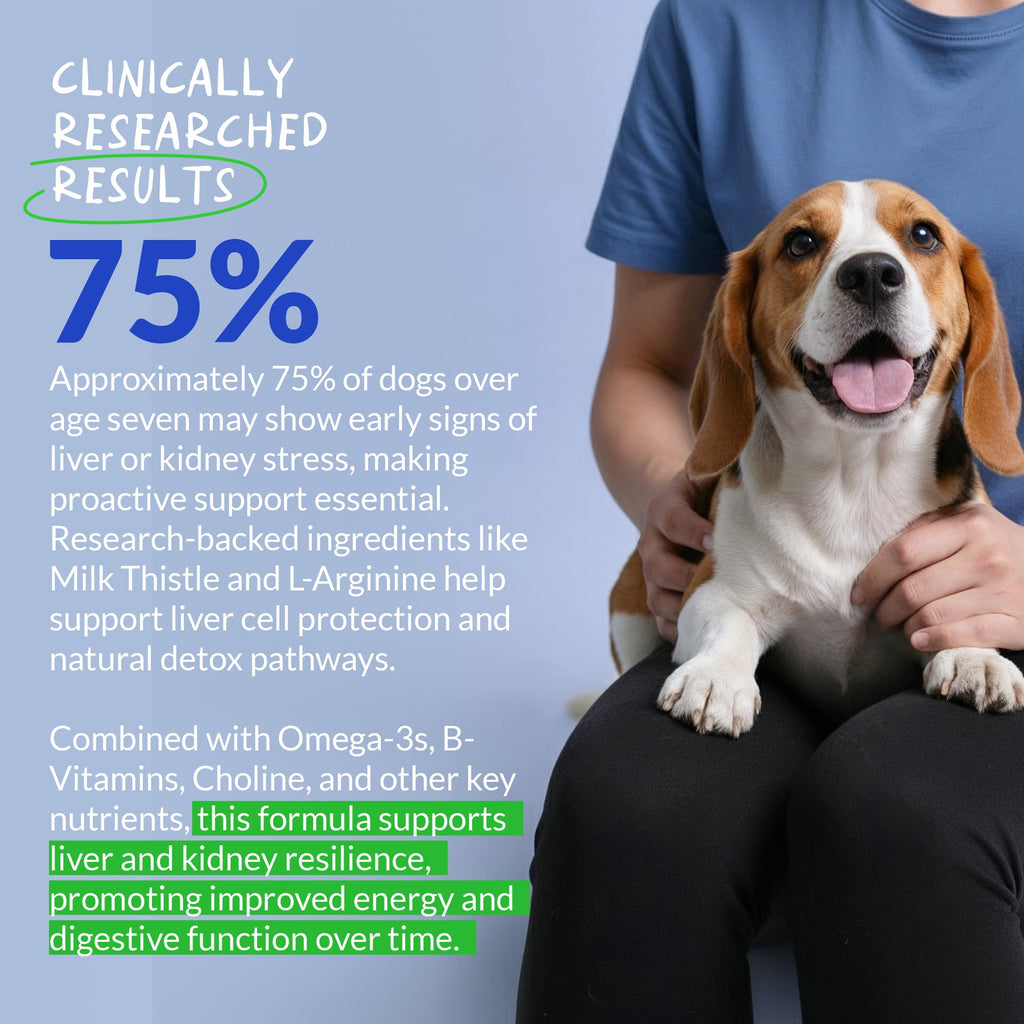 Milk Thistle for Dogs - 120 Chewable Tablets - Silymarin - Liver and Kidney Support with EPA & DHA - Detox - Liver Supplement for Dogs with Choline and L-Arginine (Milk Thistle Tablet)