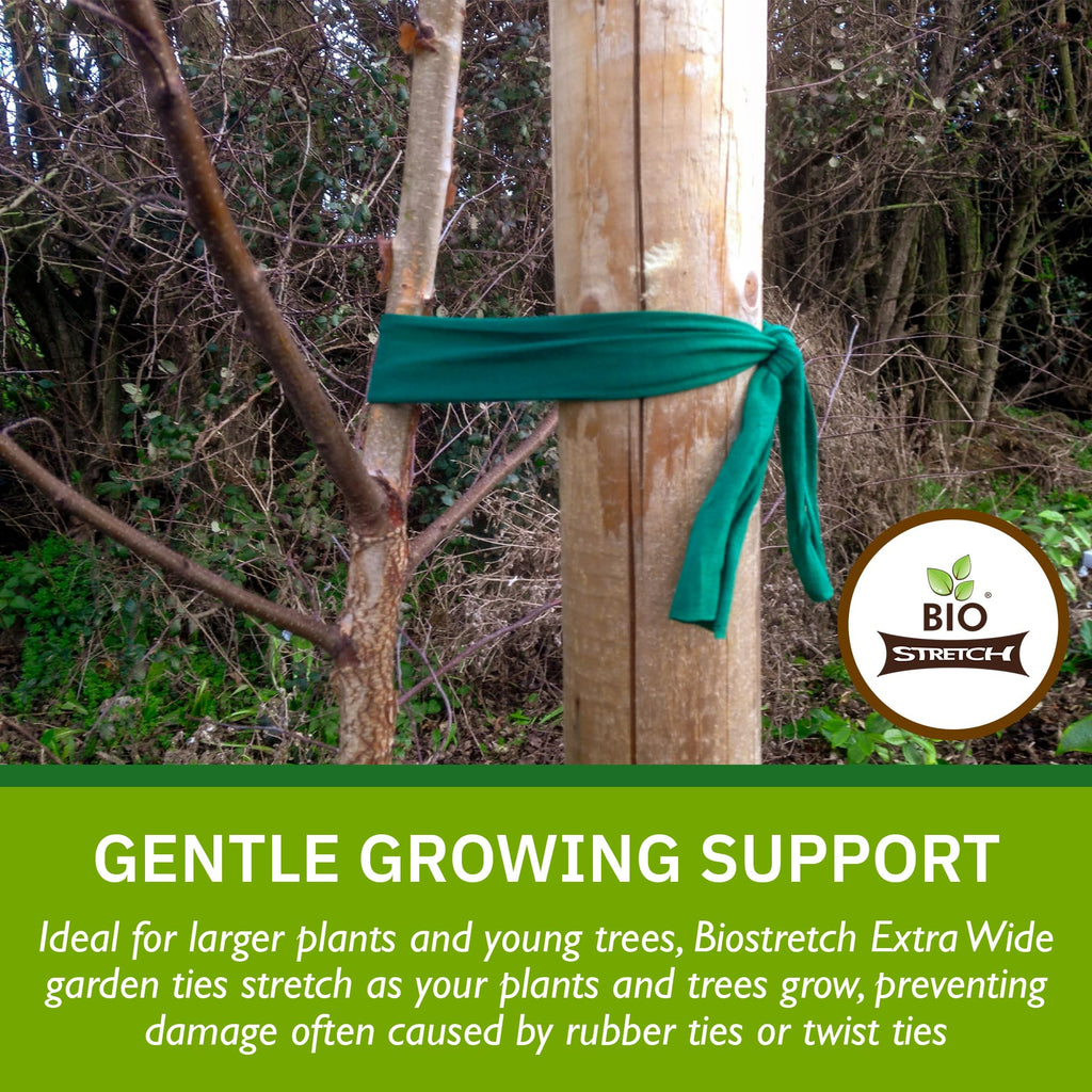 Bio-Stretch Soft Tree Ties & Garden Tape for Young Trees, 16M Green