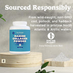 Zen Principle Marine Collagen Peptides Powder 3lb. Wild-Caught Fish, Non-GMO. Supports Healthy Skin, Hair, Joints, and Bones. Hydrolyzed Type 1 & 3 Protein. Amino Acids, Unflavored, Easy to Mix.