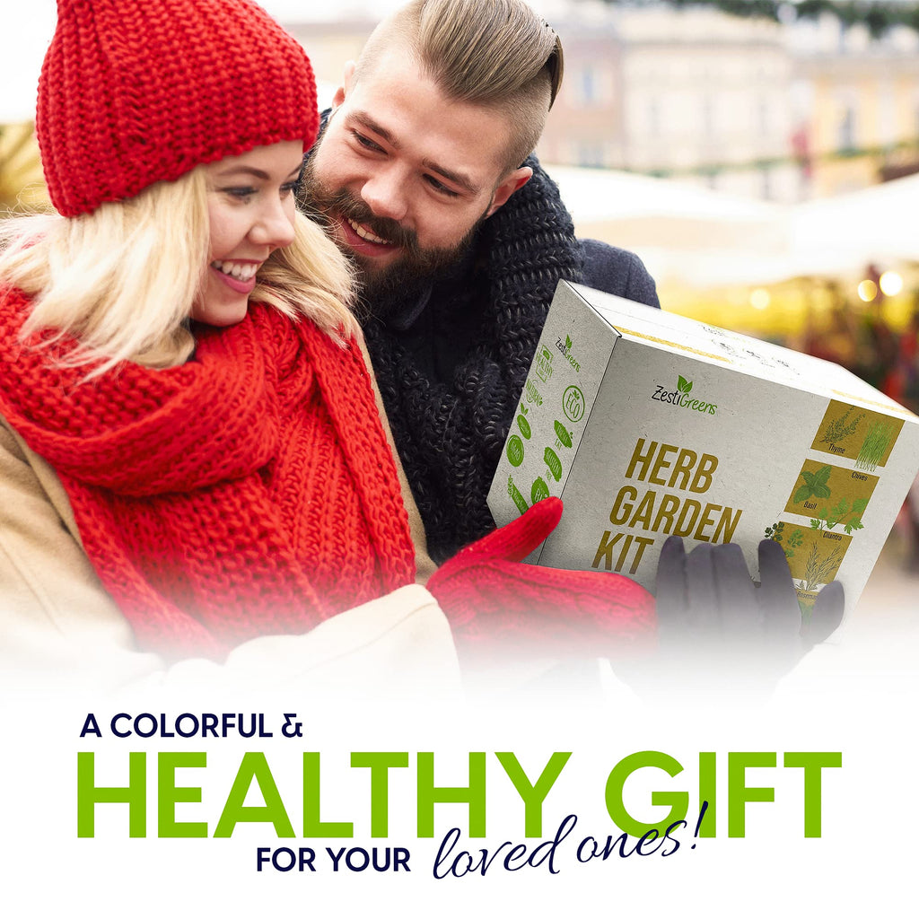 Herb Garden Starter Kit - 8 USA Culinary Herbs