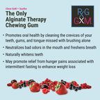 REFLUX GOURMET Berry Soothe Gum Alginate Therapy Sodium Bicarbonate Gum for Acid Reflux, Oral, Cognitive, and Digestive Support, Natural with Ginger, Celeriac and Aloe, Sugar Free, Gluten Free, Vegan