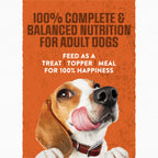 Purina Moist & Meaty Soft Dog Food Pouches, 36 ct