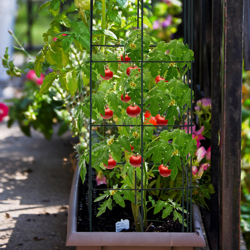 S AFSTAR 4 Pack Folding Tomato Cages, 39 Inches Tall Square Plant Support Cage for Garden Climbing Plants Flowers Fruits, Heavy Duty Tomato Vegetable Trellis