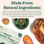 WOOF Pupsicle Chicken Refill Pops Dog Treats, Large, 7 Count, 2 Pack