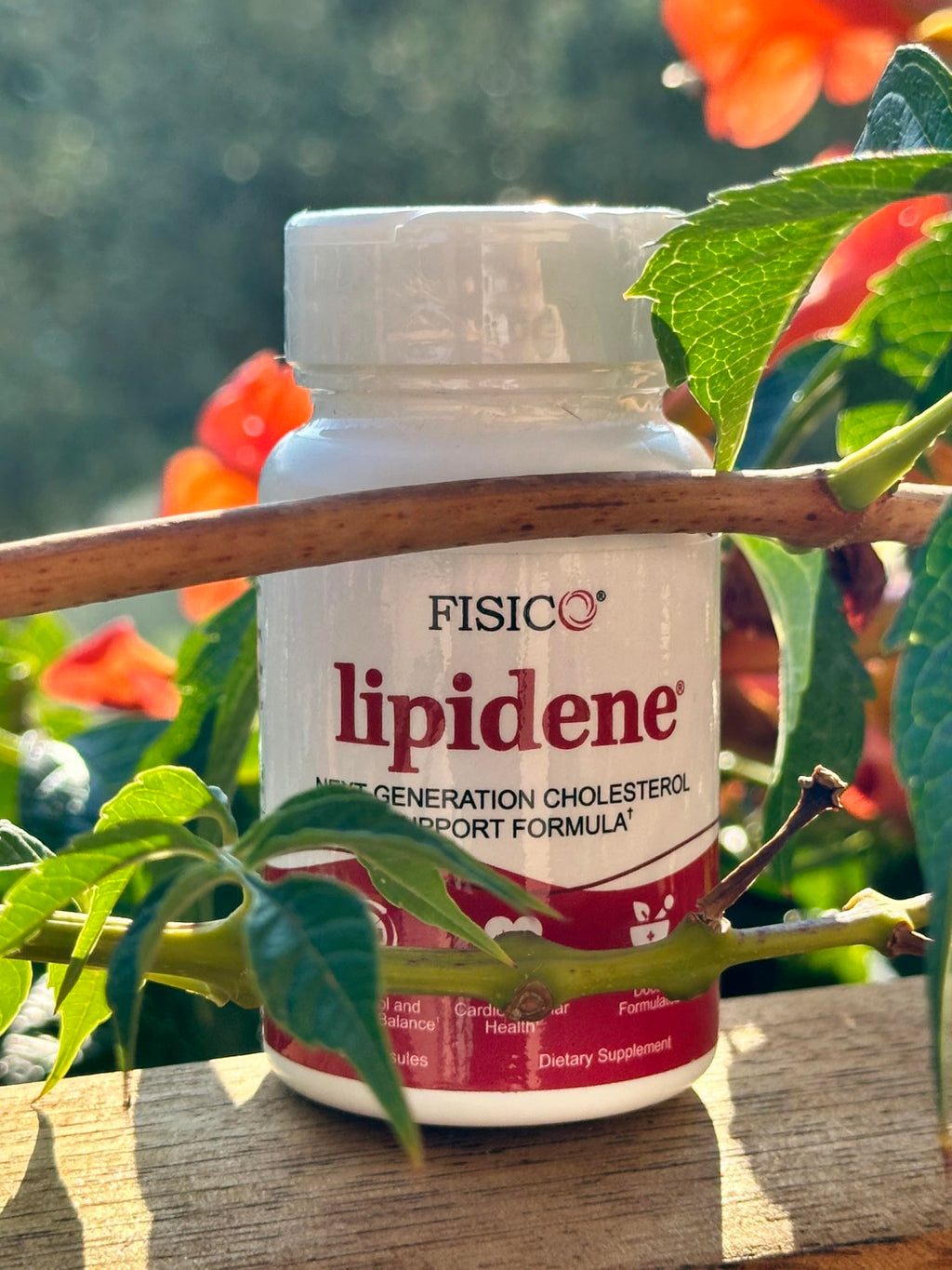 LIPIDENE Cholesterol Support & Heart Health Supplement – Lipid Balance, Cardiovascular Function, Heart Health, Circulation and Arterial Wellness. Contains Bergamot & Olive Fruit Extract – 30 Capsules