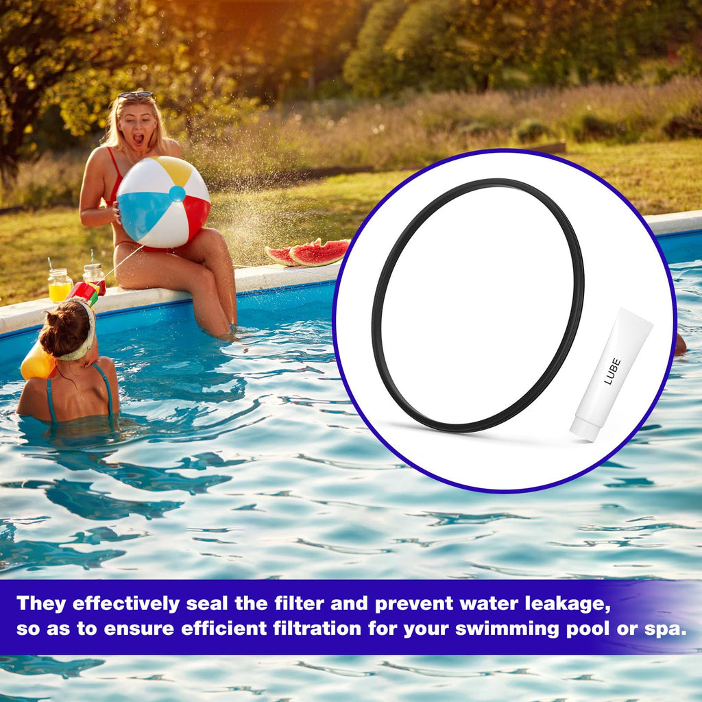JIOTAR DEX2422Z2 Filter Seal O-Ring Gasket for C4030 C3030 C2030, Hayward Pool Pump Seal Kit Replacement DE4820 DE2420, Pool Filter Parts for Hayward Pro-Grid DE Swim Clear Cartridge Filter