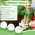 Plant Support Clips, 2026 New Garden Secured Plastic Plant Clips for Climbing Plants, Plastic Trellis Clips Tomato Grape Vine Vegetables Plant Fixing (100, White)
