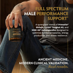 TRIBE ORGANICS Ashwagandha Gold for Men - Clinical Testosterone Booster for Men with KSM-66, LJ100 Tongkat Ali & PrimaVie Shilajit - Premium Energy, Strength, Vitality & Stress Support with AstraGin