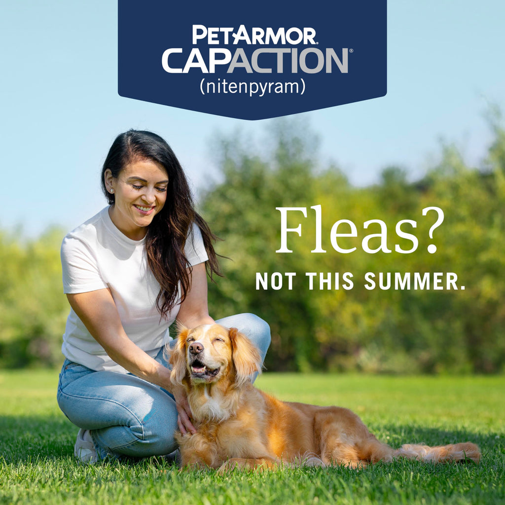 PetArmor CAPACTION Oral Flea Tablets Dogs 25+ lbs, Nitenpyram, 6-Dose