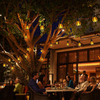 Solar String Lights for Outside, 33Ft Solar Patio Light with 15 Flickering