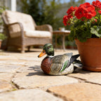 PTAHAN Mallard Duck Decor Single Outdoor Statue-Realistic Resin Floating Mallard Duck, Waterproof for Pond, Garden, Patio, Pool, Backyard Lawn Ornament. Also Great As Cake Topper.