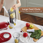 KITCHTREE Masticating Juicer Attachment for KitchenAid Stand Mixer, 4.2" Large Feed Chute Fit Whole Vegetables & Fruits, Slow Cold Press Juicing, Includes 2 * 28oz capacity cups and blade replacement