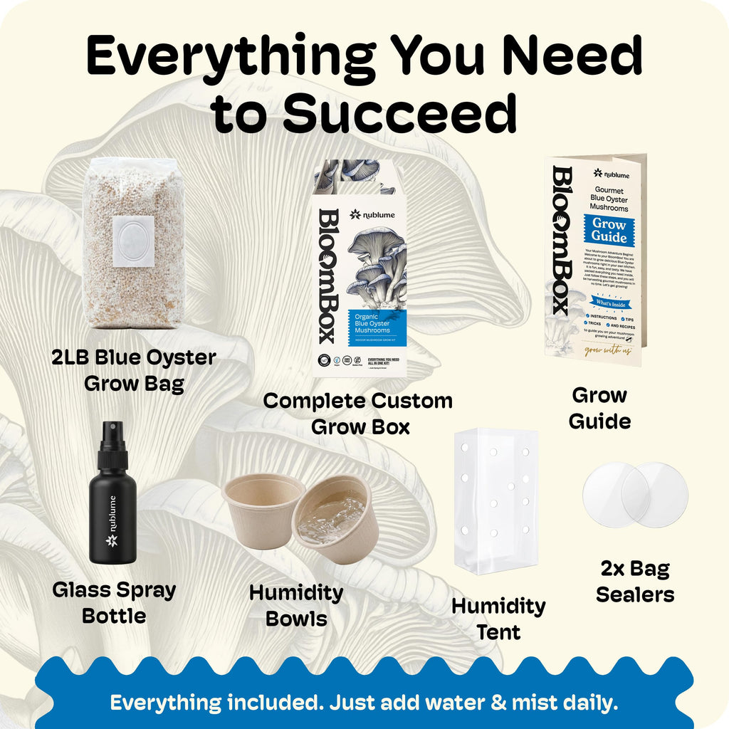 BloomBox Blue Oyster Mushroom Grow Kit – Spray & Grow – Pre-Inoculated Indoor Mushroom Farm – Beginner Friendly – Harvest Fresh Gourmet Mushrooms in Days – Perfect Gift
